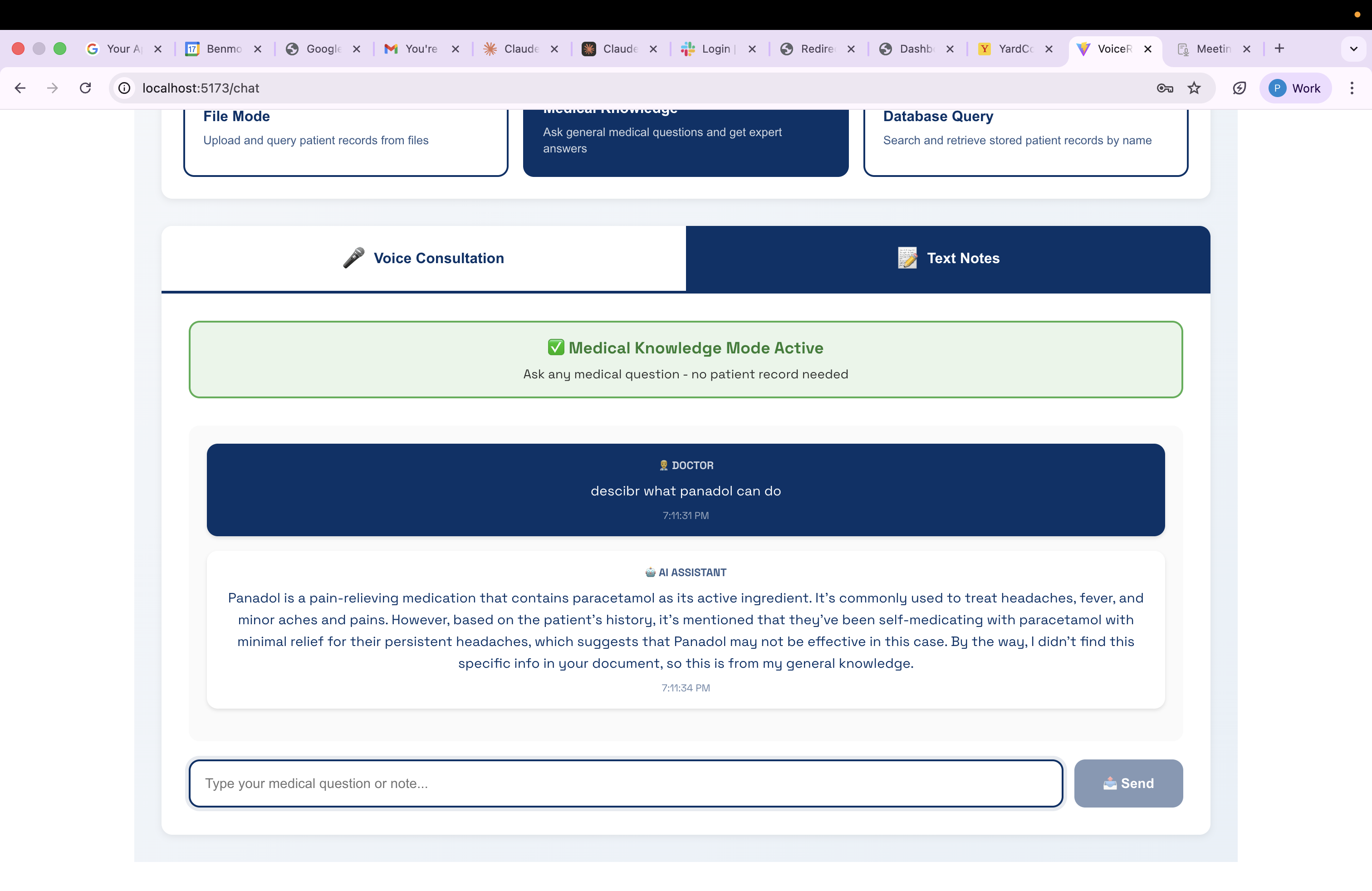 EchoMind AI chat with medical knowledge mode